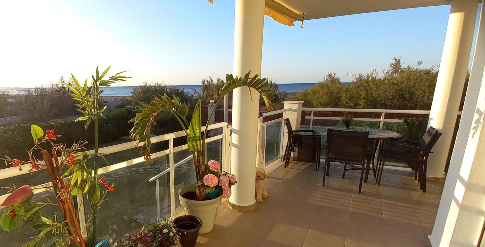 Beach View - Primera Linea Lujo Dénia Exterior foto