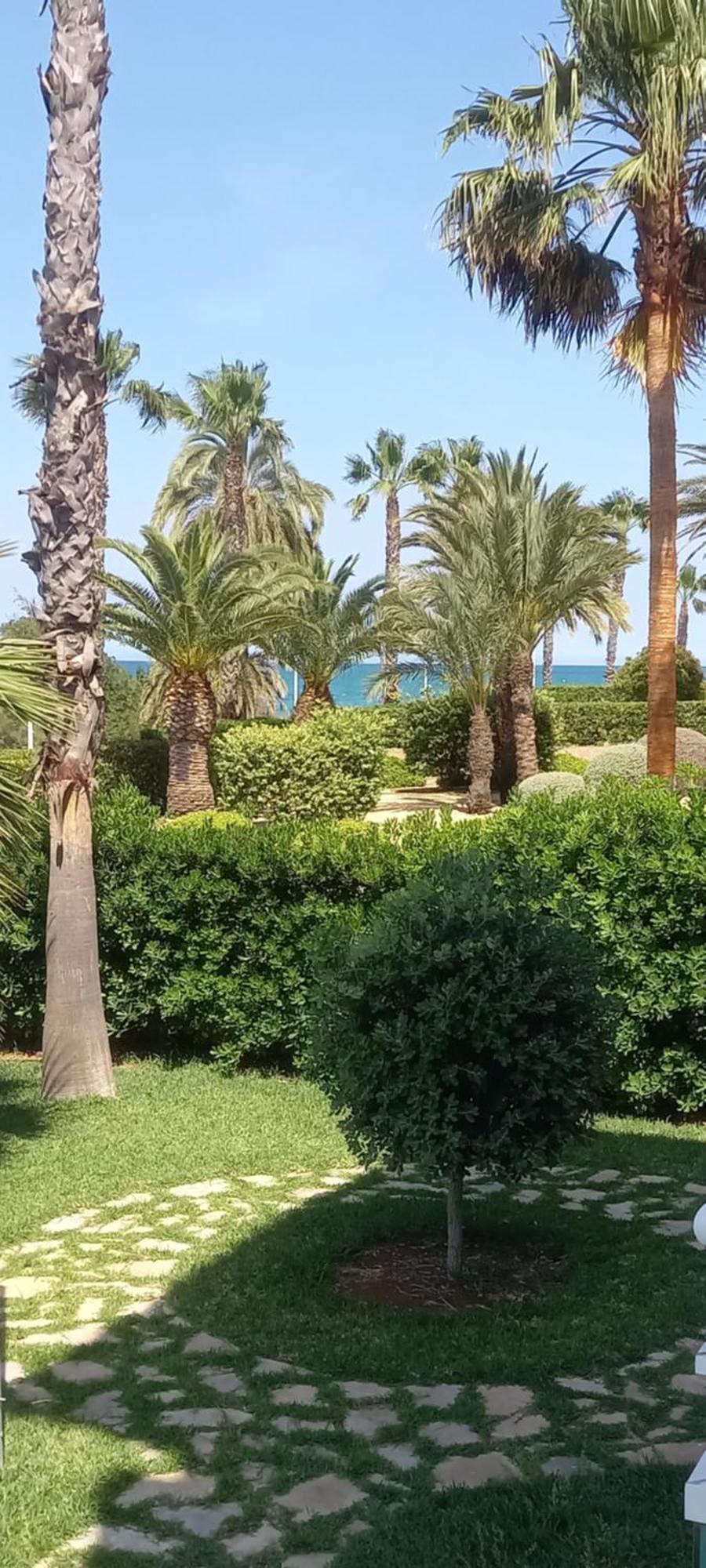 Beach View - Primera Linea Lujo Dénia Exterior foto